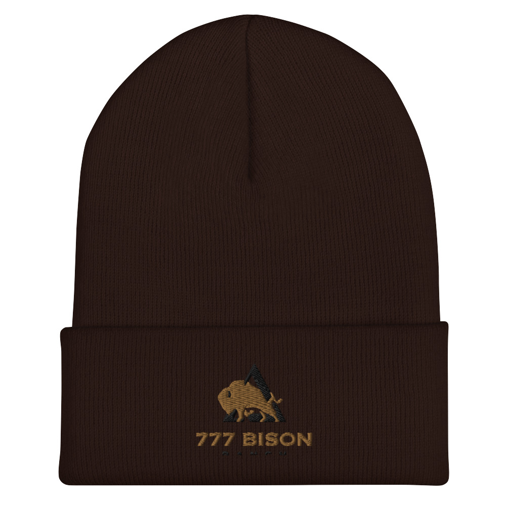 cuffed-beanie-brown-front-6323f21b1939d.jpg