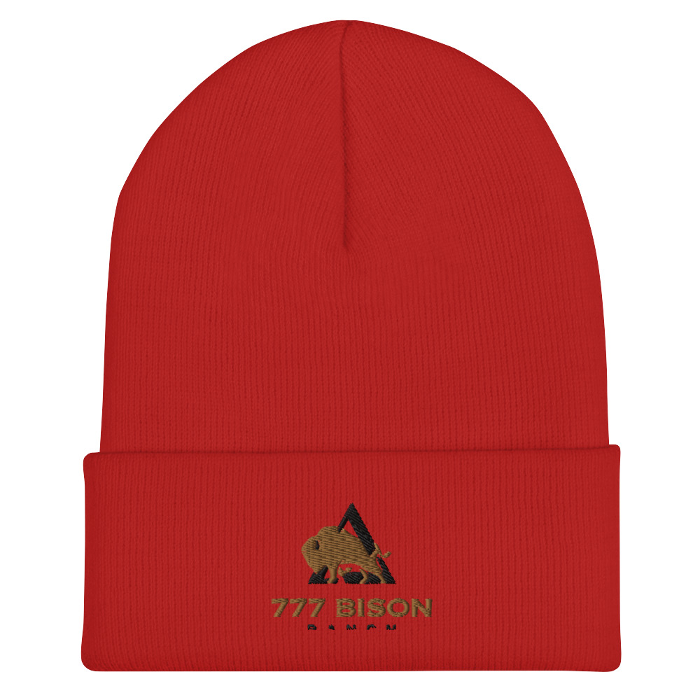 cuffed-beanie-red-front-6323f21b19622.jpg