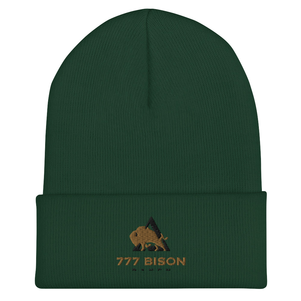 cuffed-beanie-spruce-front-6323f21b19501.jpg